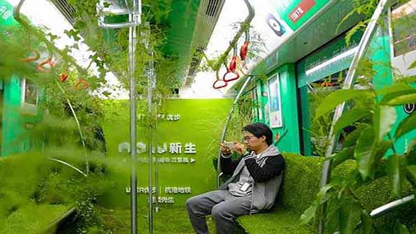    خبر ایجاد فضای سبز در یک قطار در چین